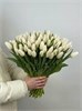 Белые тюльпаны (Пачка 50шт) 56
