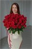 Красные розы в шляпной коробке 51 шт 246