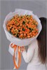 Кустовые розы Корал Баблз в упаковке (51шт) 573 в Рязани