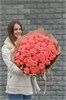 Кустовые розы Барбадос 51шт 149267