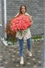 Кустовые розы Барбадос 51шт 149267