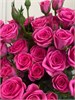 Кустовые розы Пинк Йо (пачка 10шт) 884477445