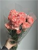 Гвоздика розовая (пачка 20 шт) 65214 в Рязани