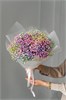 Гипсофила радужная 7шт 149293