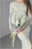 Маттиола белая (9шт) 601 в Рязани