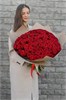 Красная роза одн 101шт 149229