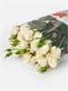 Кустовые розы Беларусь (пачка 10шт) 742 в Рязани
