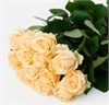 Персиковые розы одн (пачка 10шт) 568200223 в Рязани